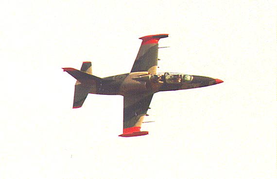 L-39 Albatross airplane