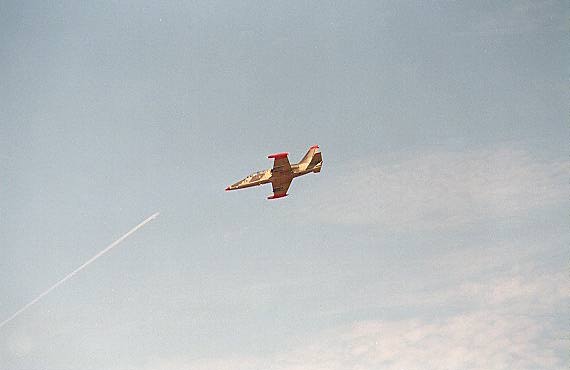 L-39 Albatross airplane