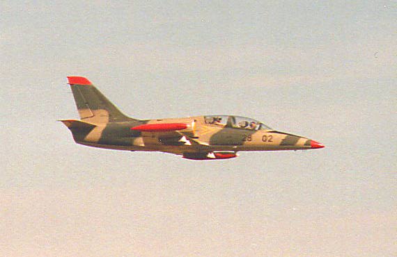 L-39 Albatross airplane