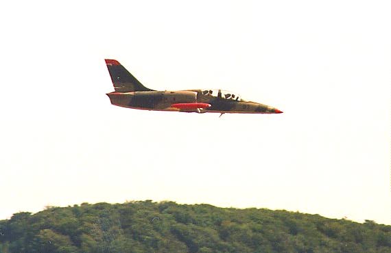 L-39 Albatross airplane