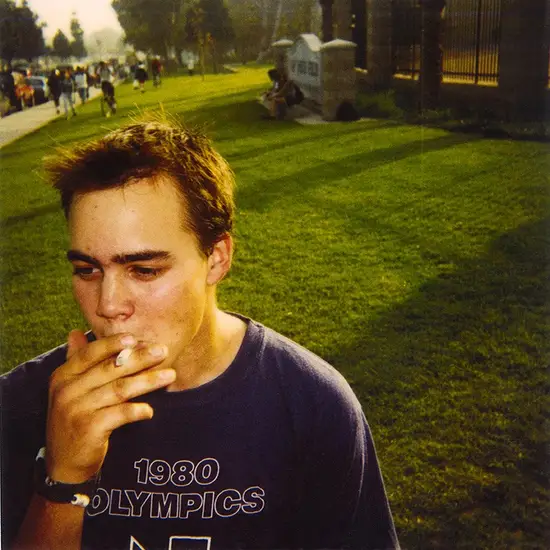 green-grass-polaroid