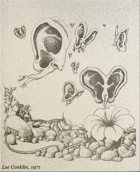 LeeConklin_Ears