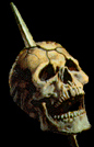 Skull