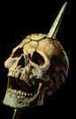 E-mail Skull